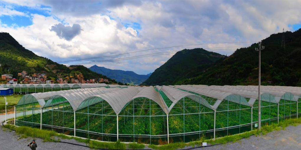 科技赋能特色农业 节庆撬动乡村消